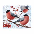 Алмазная мозаика на новый год с частичным заполнением «Снегири», 20×25 см, набор для творчества - Фото 2