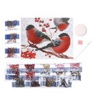 Алмазная мозаика на новый год с частичным заполнением «Снегири», 20×25 см, набор для творчества - Фото 4