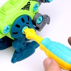 Конструктор винтовой «Паразауролоф», с отвёрткой, 24 детали - Фото 4