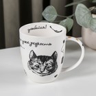 Кружка Quinsberry «Безумное чаепитие», 420 мл, фарфор, МИКС - Фото 1