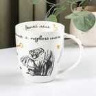 Кружка Quinsberry «Безумное чаепитие», 420 мл, фарфор, МИКС - Фото 6