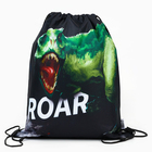 Мешок для обуви ROAR! полиэстер, размер 30×40 см 7065993 - фото 104988