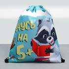 Мешок для обуви «Учусь на 5!» (со светоотражающим элементом) 41×34 см - Фото 2