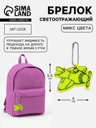 Светоотражающий элемент «Самолёт», двусторонний, 6×5.5 см, МИКС - Фото 1