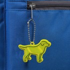 Светоотражающий элемент «Лабрадор», двусторонний, 5.5×4 см, МИКС - Фото 2