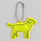 Светоотражающий элемент «Лабрадор», двусторонний, 5.5×4 см, МИКС - Фото 3