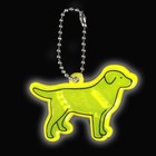 Светоотражающий элемент «Лабрадор», двусторонний, 5.5×4 см, МИКС - Фото 4