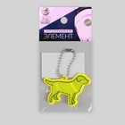 Светоотражающий элемент «Лабрадор», двусторонний, 5.5×4 см, МИКС - Фото 6