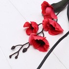 Декор тинги «Ветреница», h=150 см, МИКС - Фото 3