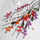 Декор тинги «Ветреница», h=150 см, МИКС - Фото 1