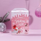 Набор "Привет, Новый год!": гель для душа 300 мл, аромат шоколада, соль для ванны 200 г, аромат ягодный подарок - Фото 2