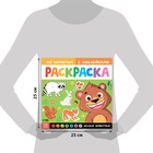 Раскраска по номерам с наклейками «Лесные животные», 16 стр. - Фото 2