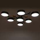 Люстра 1316/7BK LED 168Вт 3000-6000К черный 74х74х17 см BayerLux - Фото 4