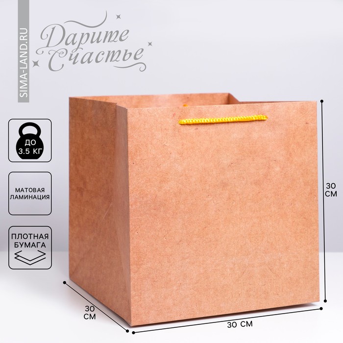 Пакет подарочный квадратный, упаковка, «Крафт», 30 х 30 х 30 см