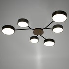 Люстра 1319/6BKGR LED 144Вт 3000-6000К черный, серый 75х75х5 см BayerLux 5572096