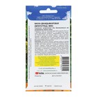 Семена цветов Виола "Императрица", 5 шт - Фото 3