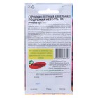 Семена цветов Сурфиния (петуния ампельная) Подружка невесты F1 5 шт. - Фото 2