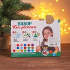 ШКОЛА ТАЛАНТОВ Ёлочные шары под роспись, 2 шт. 6258609 - фото 16552484