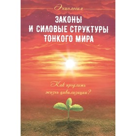 

Законы и силовые структуры Тонкого мира. 2-е издание. Как продлить жизнь цивилизации Старинская Н.Б.