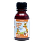 Сироп детский для укрепления памяти Умный малыш с ягодами облепихи, 100 мл - фото 23447930