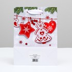 Пакет подарочный "Праздничный дизайн", 18 х 24 х 8 см (комплект 6 шт) - фото 46047824