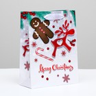 Пакет подарочный "Праздничный дизайн", 18 х 24 х 8 см (комплект 6 шт) - фото 46047825