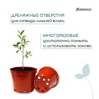 Горшок для рассады, 5 л, d=22 см, h=18 см, пластик, терракот, Greengo - Фото 7