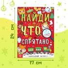 Книга «Найди, что спрятано. Новогодний экспресс», 16 стр. - Фото 2