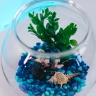 Аквариум круглый пластиковый 3 литра - фото 26130792