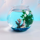 Аквариум круглый пластиковый 3 литра - фото 26130793