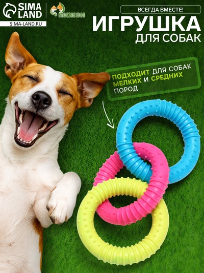 Жевательная игрушка дял собак «Всегда вместе!», 3 кольца по 8 см, TPR, разноцветная