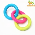 Жевательная игрушка дял собак «Всегда вместе!», 3 кольца по 8 см, TPR, разноцветная - Фото 3