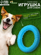 Жевательная игрушка для собак «Кусочек солнца», 8 см, TPR, голубая - Фото 1