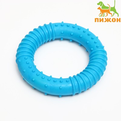 Жевательная игрушка для собак «Кусочек солнца», 8 см, TPR, голубая