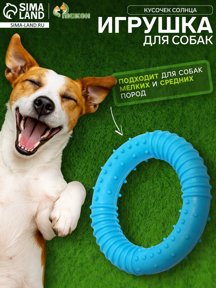 Жевательная игрушка для собак «Кусочек солнца», 8 см, TPR, голубая - Фото 1