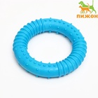 Жевательная игрушка для собак «Кусочек солнца», 8 см, TPR, голубая - Фото 3