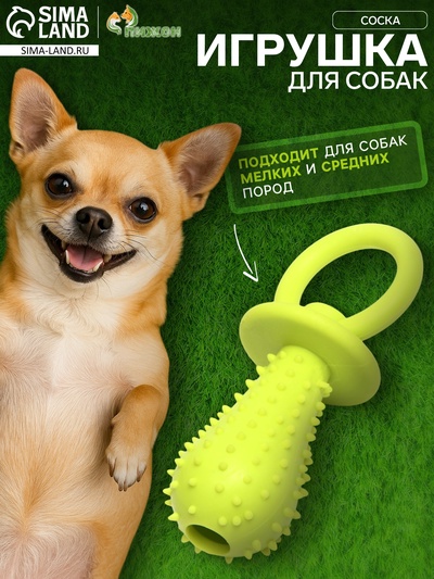 Жевательная игрушка для собак «Соска», 10×3 см, TPR, салатовая