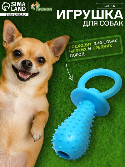 Игрушка жевательная «Соска», TPR, 10×3 см, голубая