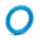 Игрушка для собак "Кольцо с шипами", 12,5 см, голубая - Фото 2