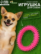 Игрушка для собак «Кольцо с шипами», 12.5 см, розовая - Фото 1