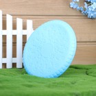 Фрисби «Косточки и лапки», 18.6 см, термопластичная резина, голубой - Фото 2