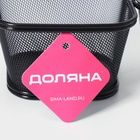 Корзинка для картофеля фри Доляна «Ночь», с соусником d=5 см, чёрная - Фото 4