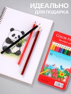 Карандаши цветные акварельные 12 цветов, корпус деревянный, шестигранные, в металлической коробке - Фото 2