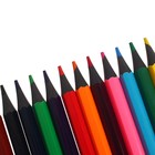 Карандаши 12 цветов в тубусе, шестигранные, пластиковые - Фото 4