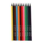 Карандаши 12 цветов в тубусе, шестигранные, пластиковые - Фото 6