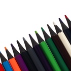 Карандаши цветные 24 в, тубусах, корпус шестигранный, пластиковый, чёрное основание - Фото 6