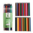 Карандаши цветные 48 цветов в тубусе, корпус шестигранный (пластиковые) чёрное основание - Фото 2