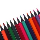 Карандаши цветные 48 цветов в тубусе, корпус шестигранный (пластиковые) чёрное основание - Фото 4