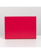 Коробка подарочная складная, упаковка, «Фуксия», 21?15?7 см (комплект 2 шт) - фото 21405973