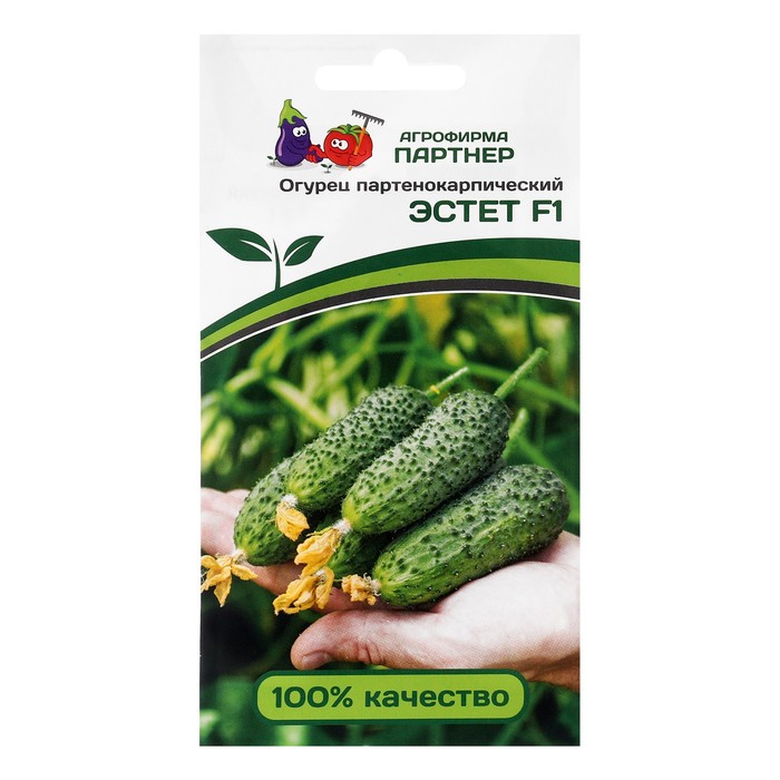 Семена огурец партенокарпический "Эстет" F1, 5 шт. - Фото 1